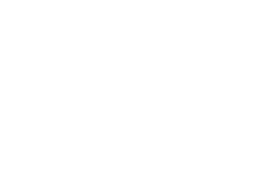 Georgia Municipal Clerks Association